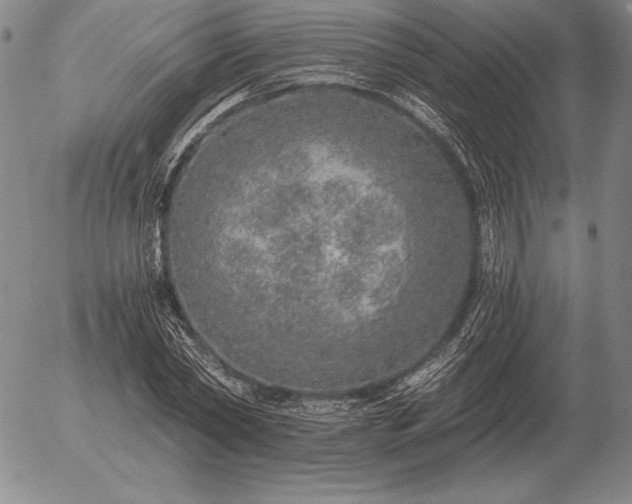 X0000056030782200509021821