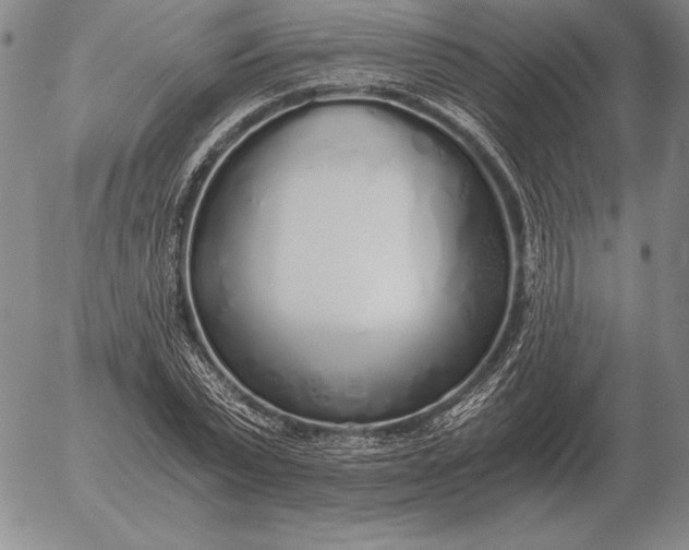 X0000056030783200509021820