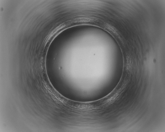 X0000056030786200509021820