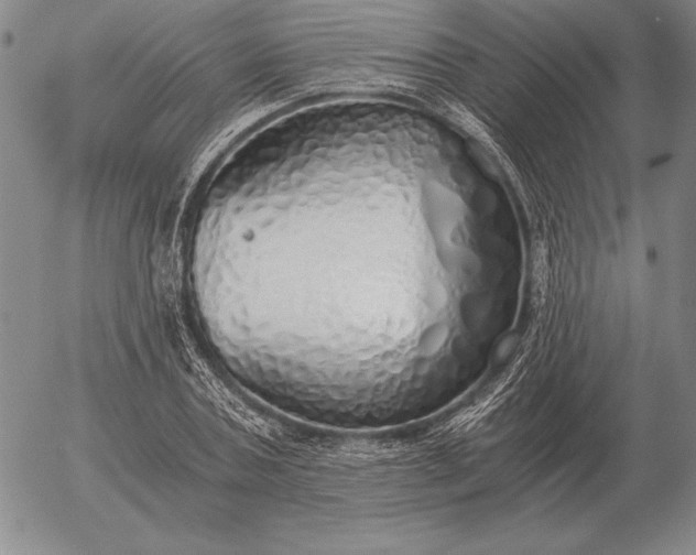 X0000056030787200509021820