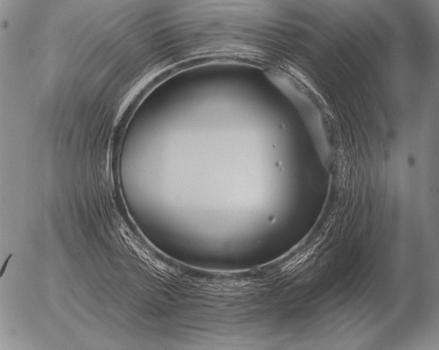 X0000056030788200509021820