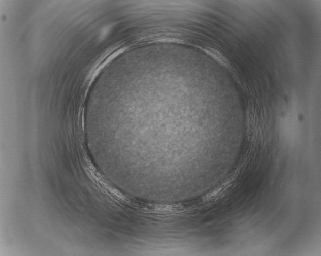 X0000056030790200509021820