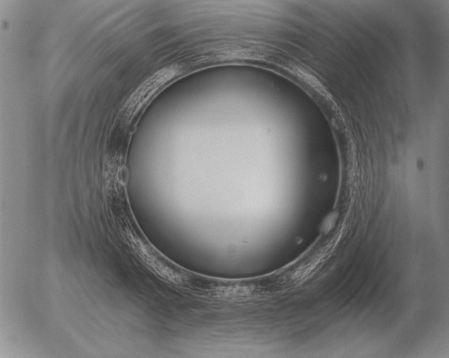 X0000056030793200509021820