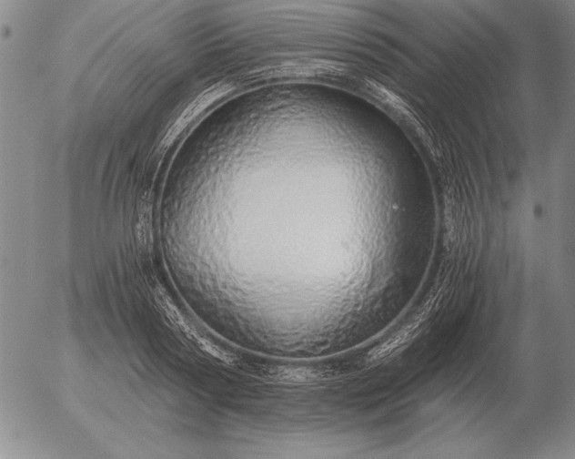 X0000056030794200509021820