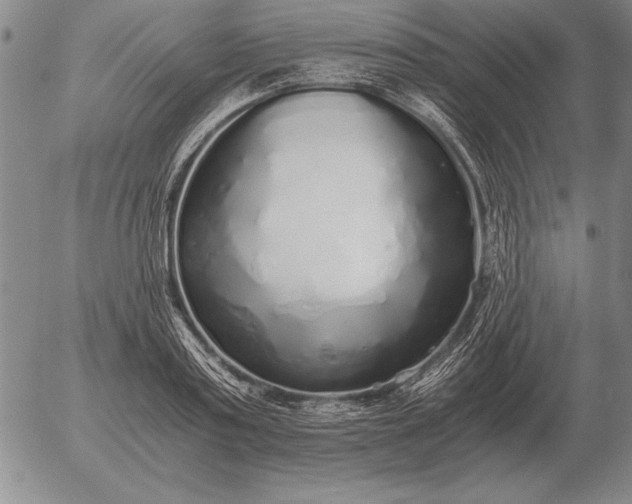 X0000056030795200509021820