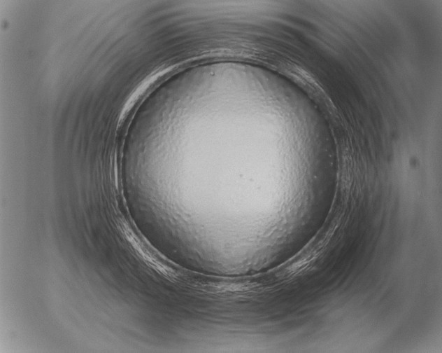 X0000056030796200509021820