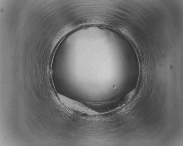 X0000056030797200509021820