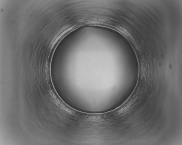 X0000056030798200509021820