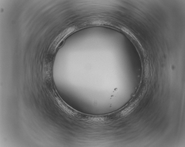 X0000056030801200509021820