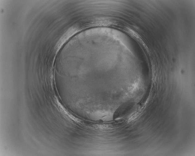 X0000056030802200509021820