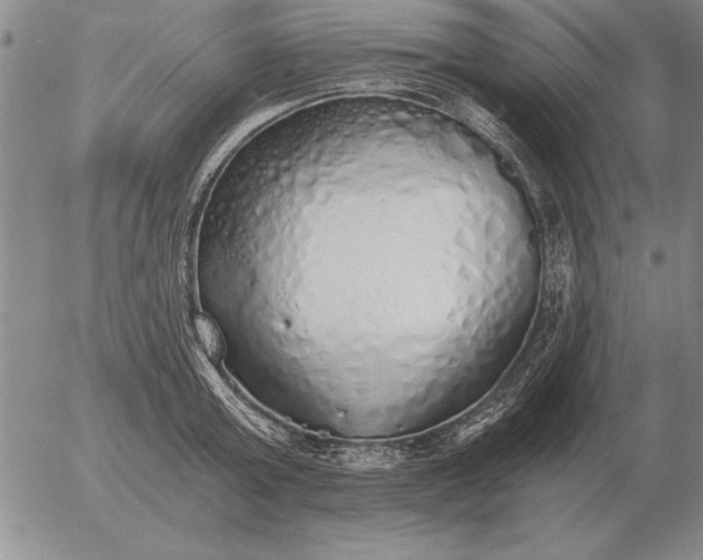 X0000056030803200509021820