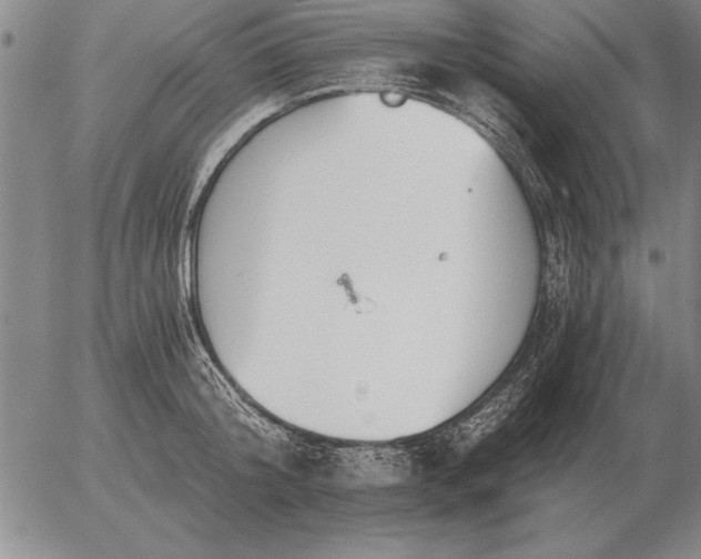 X0000056030804200509021820