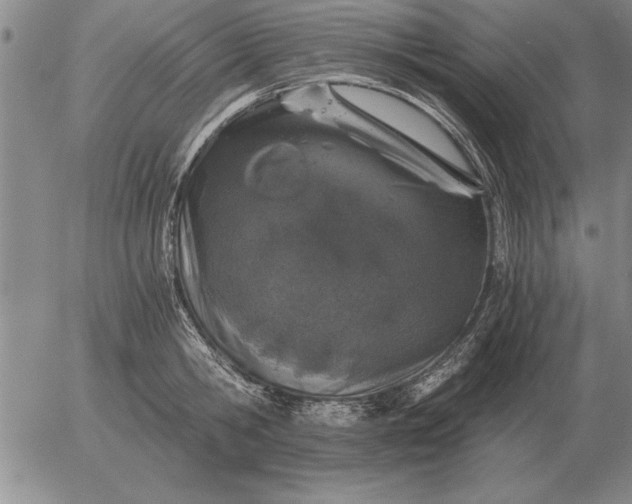 X0000056030806200509021820