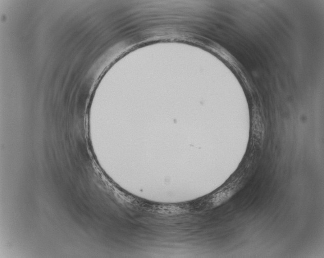 X0000056030807200509021820