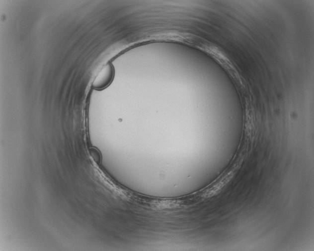 X0000056030808200509021820