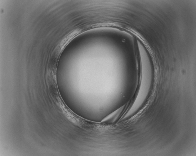 X0000056030809200509021820