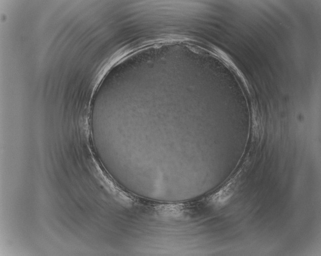 X0000056030810200509021820