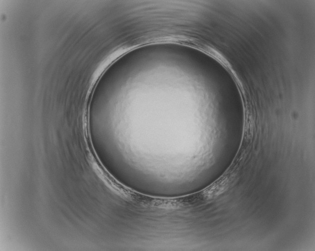 X0000056030811200509021820