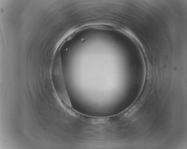 X0000056030813200509021820