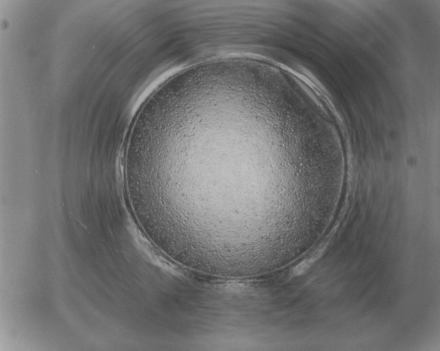 X0000056030814200509021820