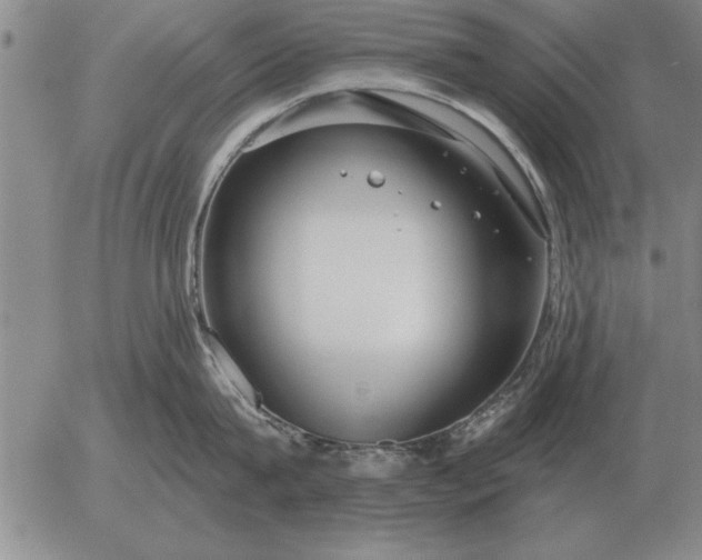 X0000056030815200509021820