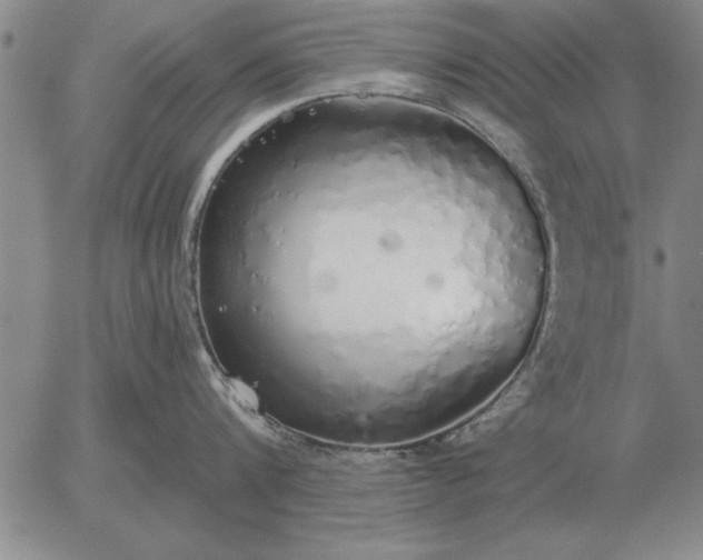 X0000056030816200509021820