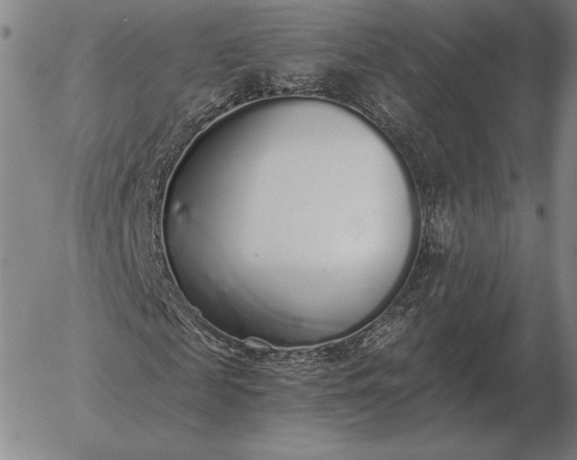 X0000056030817200509021819