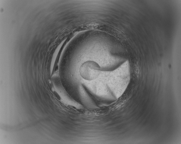 X0000056030818200509021819