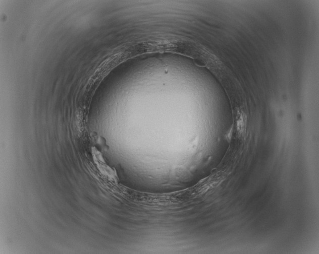 X0000056030819200509021819