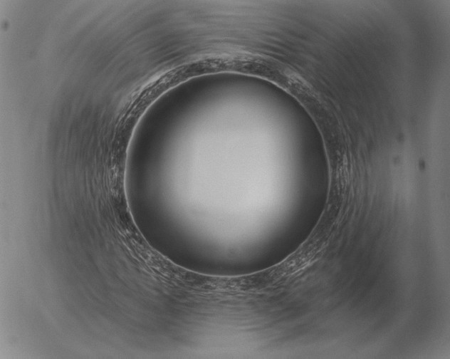 X0000056030822200509021819