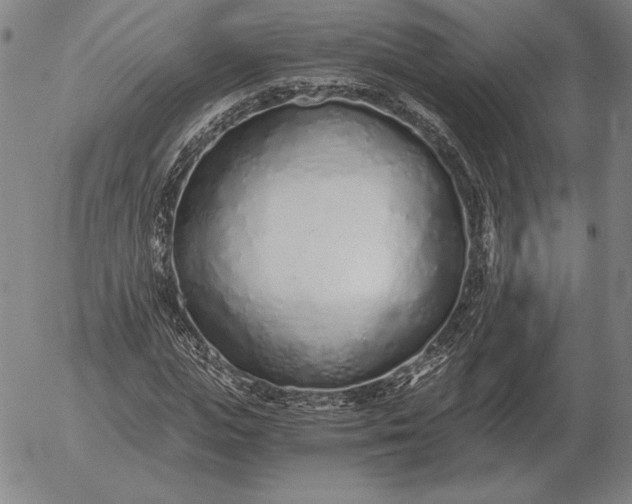 X0000056030823200509021819