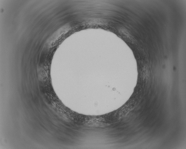 X0000056030824200509021819