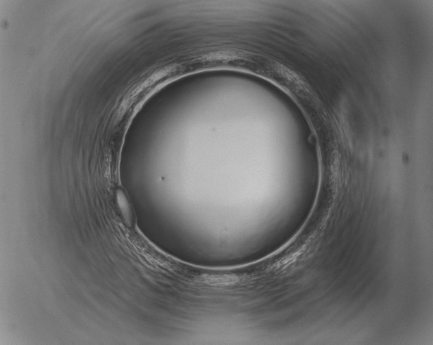 X0000056030825200509021819