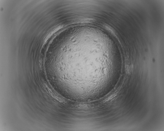 X0000056030827200509021819