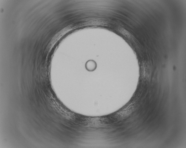 X0000056030828200509021819