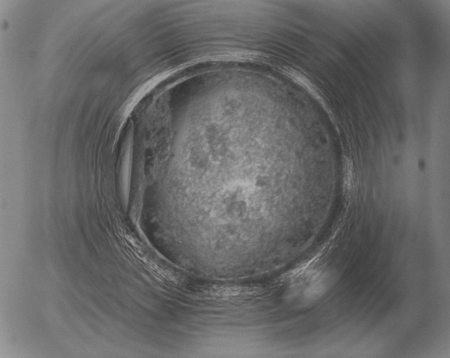 X0000056030829200509021819