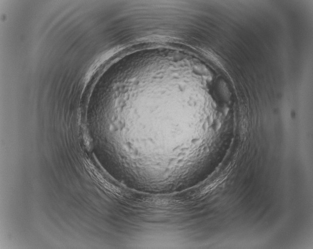 X0000056030831200509021819