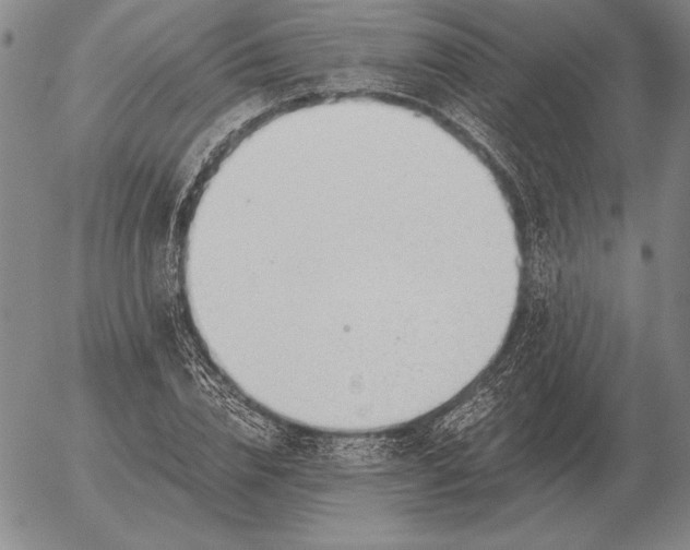 X0000056030832200509021819