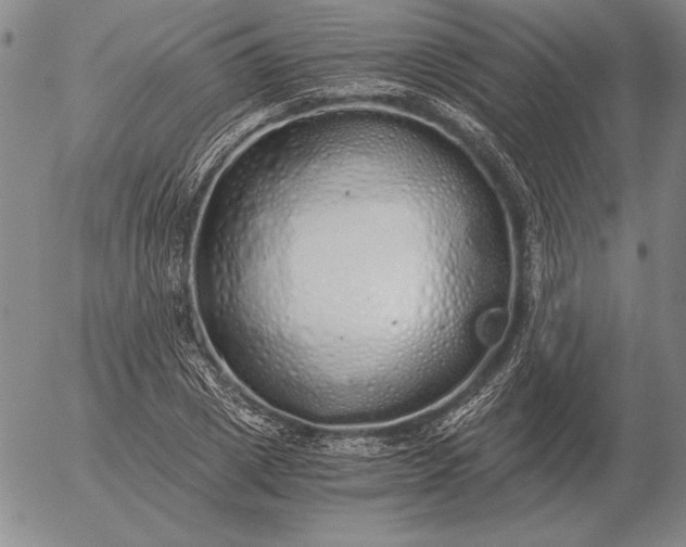 X0000056030833200509021819