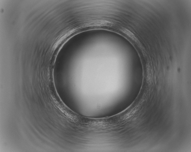 X0000056030834200509021819