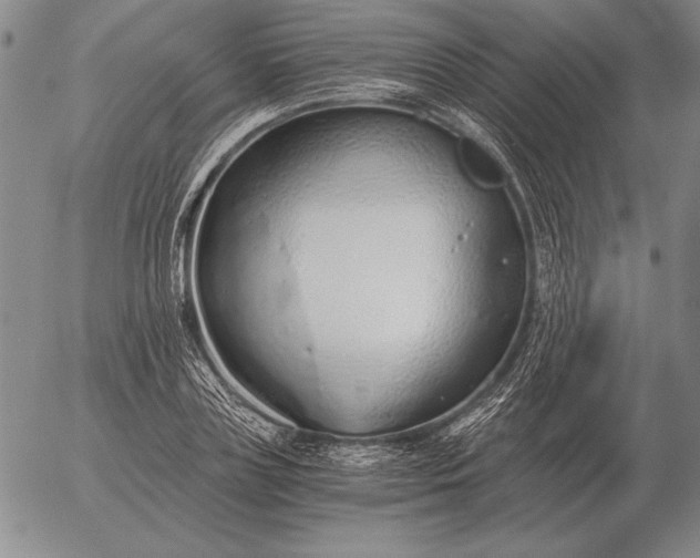 X0000056030835200509021819