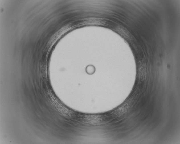 X0000056030836200509021819