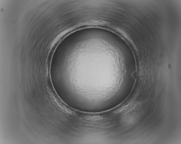 X0000056030837200509021819