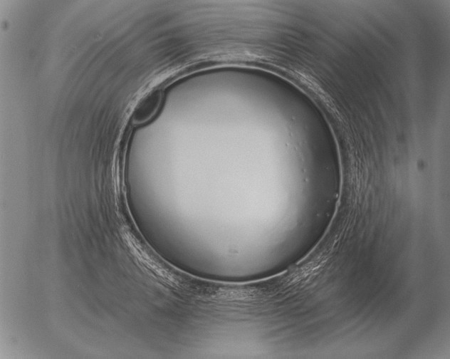 X0000056030840200509021820