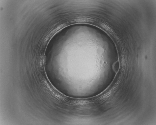 X0000056030841200509021820