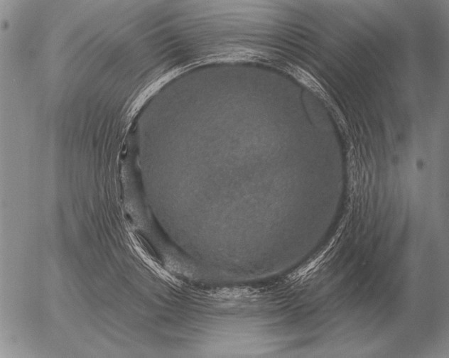 X0000056030842200509021820