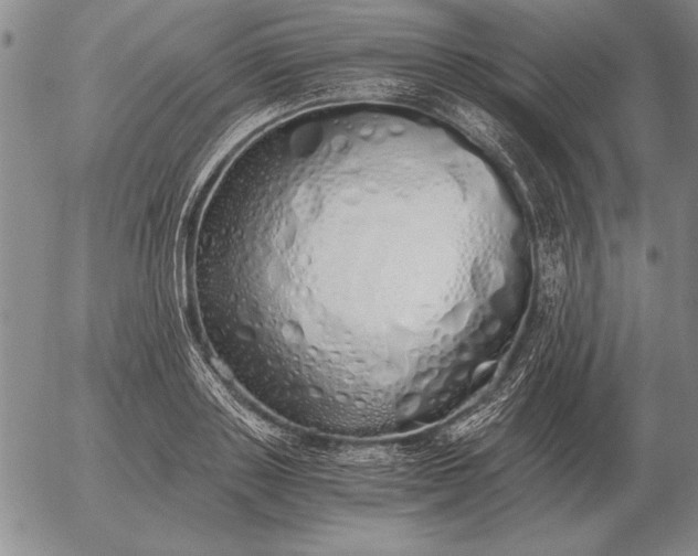 X0000056030843200509021820