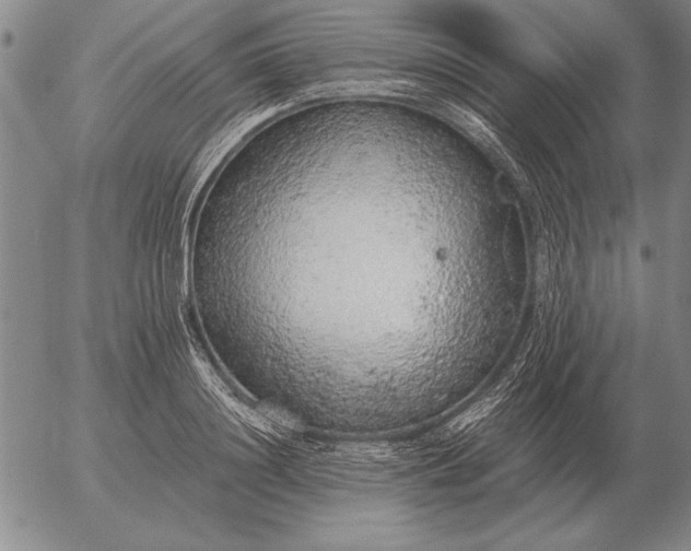 X0000056030844200509021820