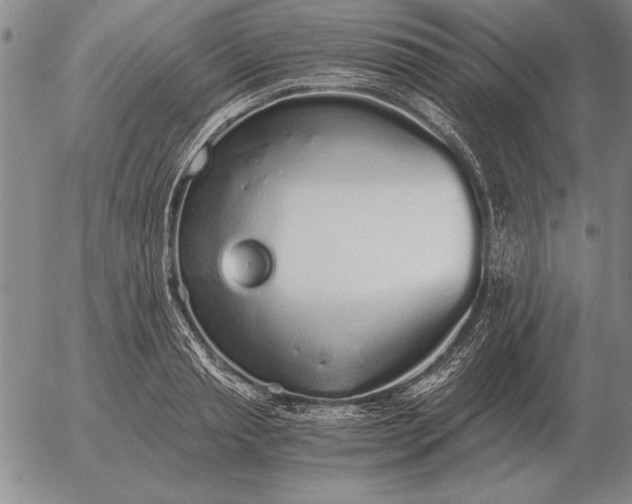 X0000056030845200509021820