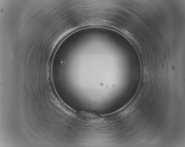 X0000056030846200509021820